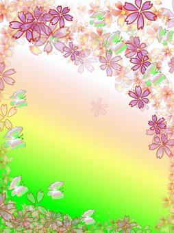 Illustration, flower, cherry blossoms, full bloom, 