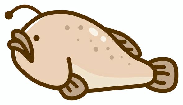 あんこう、魚・深海魚・冬の食べ物 アンコウ,あんこう,鮟鱇,魚,チョウチンアンコウ,ちょうちんあんこう,冬,鍋,鍋材料,冬の味覚のイラスト素材