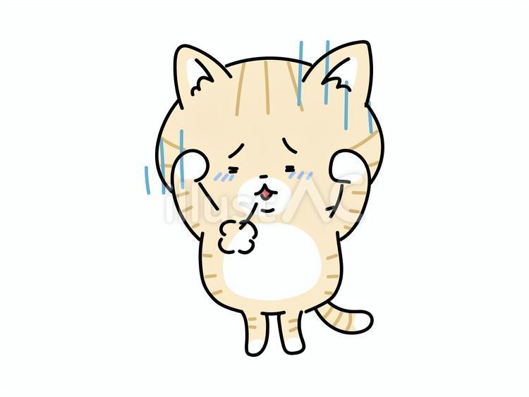 頭を抱え落ち込む猫ちゃん ねこ,落ち込む,落胆のイラスト素材