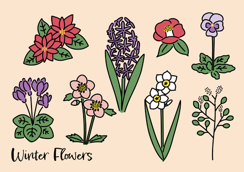 冬の花の手描き風素材（ラインあり） 冬,花,植物,ポインセチア,シクラメン,椿,水仙,クリスマスローズ,パンジー,ヒヤシンスのイラスト素材