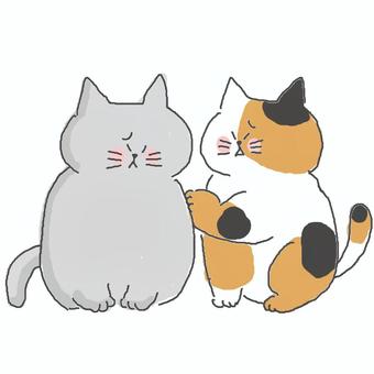 なぐさめる三毛猫ちゃん 三毛猫,かわいい,なぐさめる,困る,悩み,落ち込む,がっかり,ショック,ストレス,しょんぼりのイラスト素材