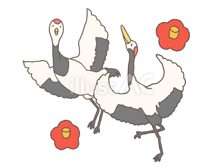椿と舞う鶴 鶴,椿,正月のイラスト素材