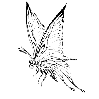 想　像　蝶 蝶,虫,生き物,飛ぶ,羽,想像,オリジナル,モノクロ,線画,手描きのイラスト素材