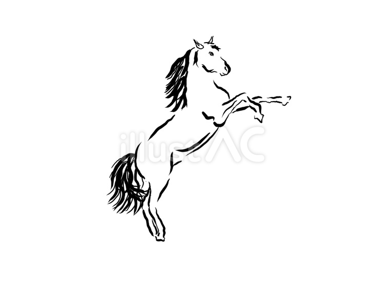 馬　動物 馬,ウマ,horseのイラスト素材