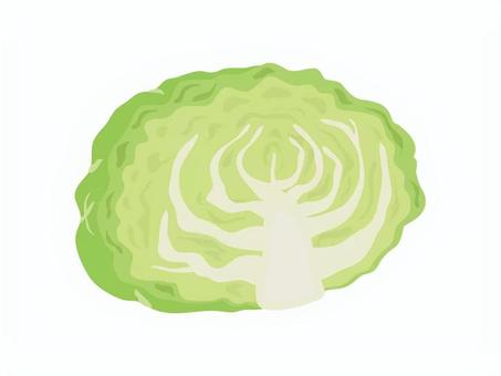 キャベツ3 キャベツ,野菜,カット,半分,断面,切り口,サラダ,新鮮,食べ物,美味しいのイラスト素材