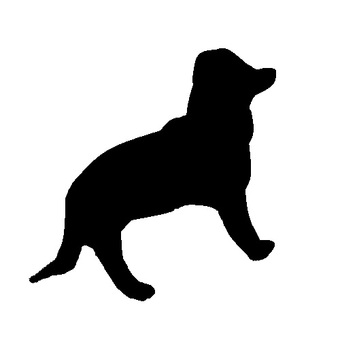 Illustration, crow, stray dog, protected dog, 