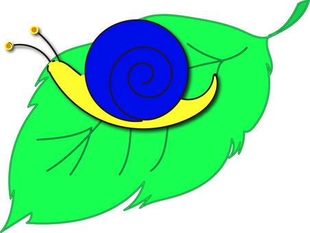 Snail, snails, insect, leaf, JPG and PNG