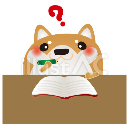 柴犬勉強わからない