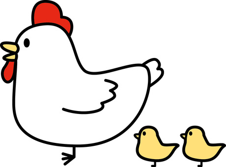 鶏ヒヨココミカル 鶏,ヒヨコ,親子,家畜,食材,鳥,動物,デフォルメ,コミカルのイラスト素材