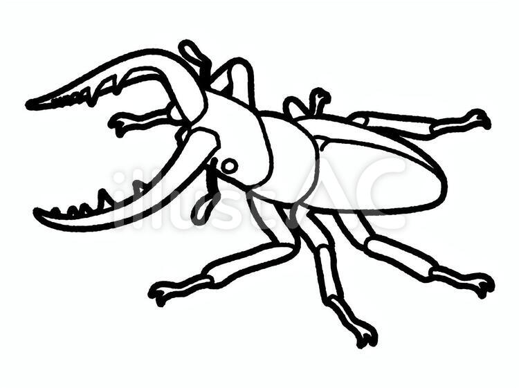 クワガタ（線のみ） クワガタ,昆虫,甲虫のイラスト素材
