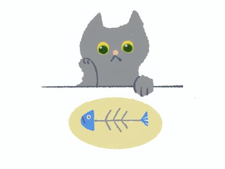 現実 ネコ,魚,食事,空腹,食糧不足のイラスト素材