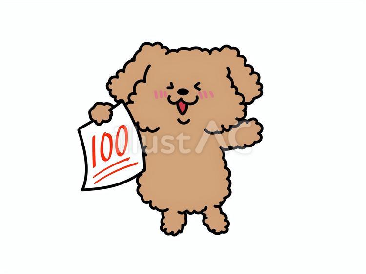 100点に喜ぶかわいい犬さん プードル,100点,満点のイラスト素材
