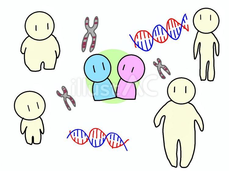 生まれ持つ遺伝子 遺伝子,遺伝,両親のイラスト素材