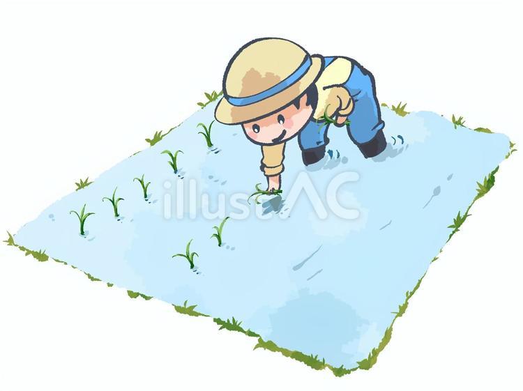 田植えのイラスト 田植え,田んぼ,農業のイラスト素材