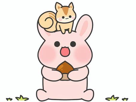 Squirrel, chestnut, and loose rabbit, loose, tiny, rabbit, JPG and PNG