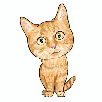 茶トラ猫 猫,茶トラ,ペット,可愛い,動物のイラスト素材