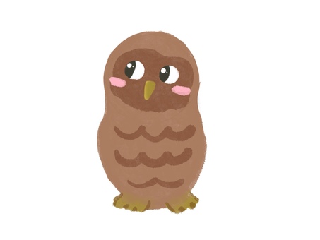 フクロウ フクロウ,ふくろう,梟,鳥,鳥類,動物,全身,羽,翼,夜行性のイラスト素材