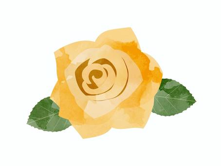 橙色のバラ（水彩風）6 バラ,水彩風,橙色,薔薇,オレンジ色,綺麗,花,葉,植物,挿絵のイラスト素材