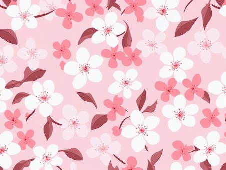 桜の背景 桜の背景 桜,バック,バックグラウンドのイラスト素材