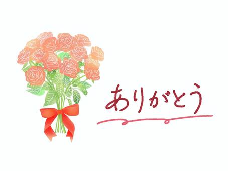 ピンクのバラと文字1 バラ,敬老の日,花束,ありがとう,感謝,薔薇,花,母の日,ブーケ,赤のイラスト素材