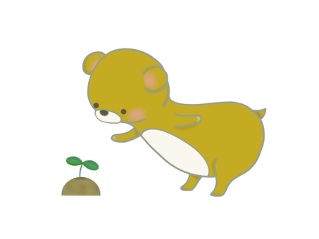 双葉を見るクマのイラスト, JPG 和 PNG 双葉を見るクマのイラスト, 雙葉, 棕色, 粉紅色, JPG 和 PNG