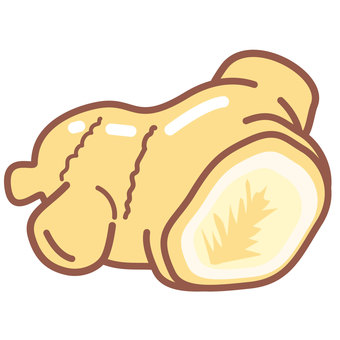 カットされた生姜 生姜,カット,断面,切り口,野菜,丸ごと,一個,塊のイラスト素材