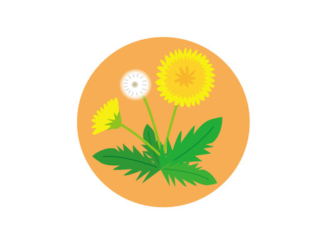 Illustration, dandelion, spring, fluff, 