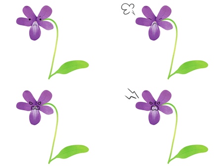 Illustration, violetas, flor, caráter, 
