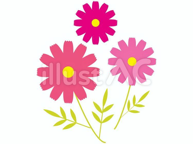 秋の花かわいいコスモス 秋,花,コスモスのイラスト素材