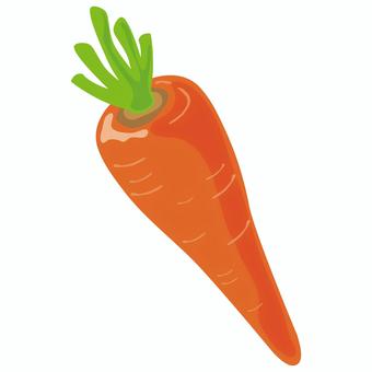葉付きのにんじん にんじん,人参,野菜,根菜,葉っぱ,オレンジ,食材,食べ物,通年,料理のイラスト素材