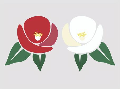 紅白牡丹のイラスト 牡丹,ボタン,花,装飾,冬,12月,植物,シンプル,かわいい,おしゃれのイラスト素材