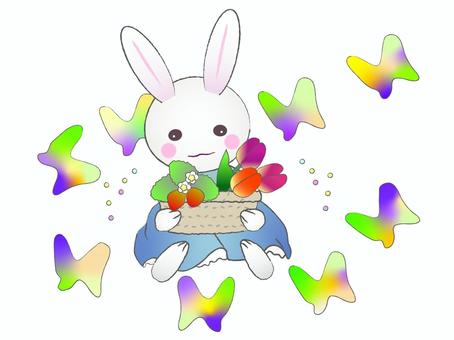 bunny bunny うさぎ,チョウ,花かご,かご,ドレス,ワンピース,花,チューリップ,イチゴ,ガーデニングのイラスト素材