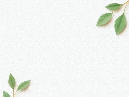 POPや広告やポストカード素材の背景画像 pop,広告,ポストカード,葉,リーフ,ワンポイント,アクセント,背景,コピースペース,グリーティングカードのイラスト素材