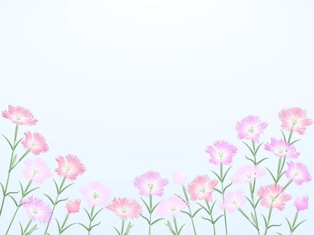 撫子・横 撫子,秋,秋の七草,5月,6月,7月,8月,9月,10月,季節のイラスト素材