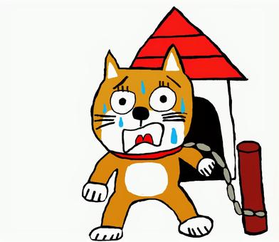 Illustration, essere impaziente, shiba inu, disegnato a mano, 