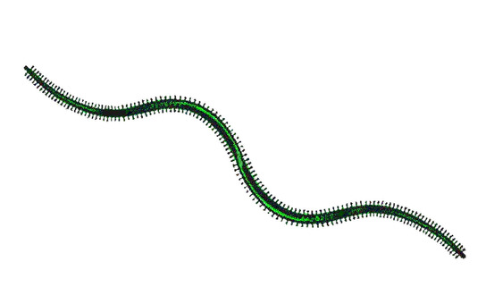 Blue isome, JPG and PNG Blue isome, blue isome, isome, gokai, JPG and PNG