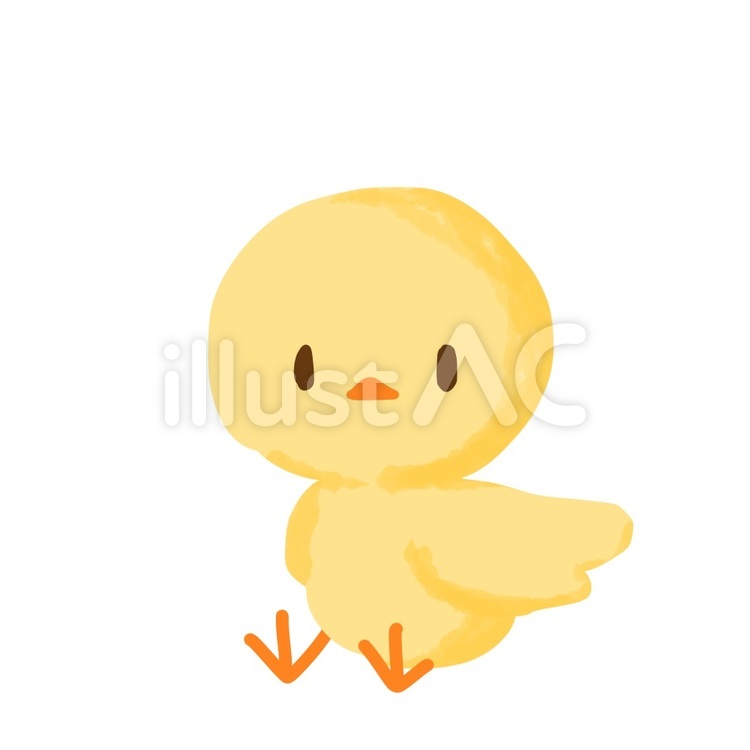 ヒヨコのゆるいイラスト ひよこ,ヒヨコ,鳥のイラスト素材