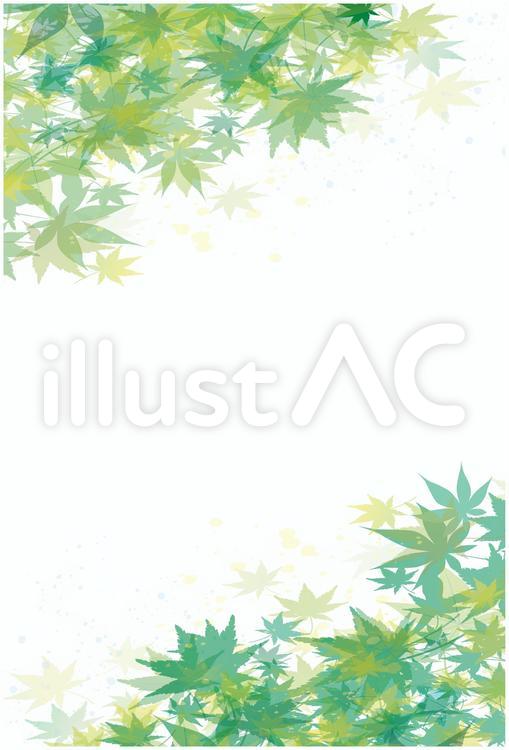 夏　新緑　背景 夏,新緑,夏季のイラスト素材