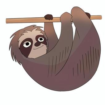 ナマケモノ ナマケモノ,怠け者,なまけもの,動物,どうぶつ,珍獣,木登り,哺乳類,のんびり,かわいいのイラスト素材