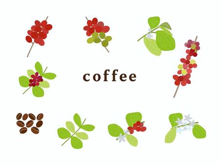 コーヒー コーヒー,花,葉っぱ,コーヒー豆,赤,緑,茶色のイラスト素材