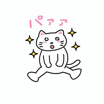 パアァとキラキラ期待する白猫 ねこ,白猫,動物,キャラ,ポップ,かわいい,切望,わくわく,期待,キラキラのイラスト素材
