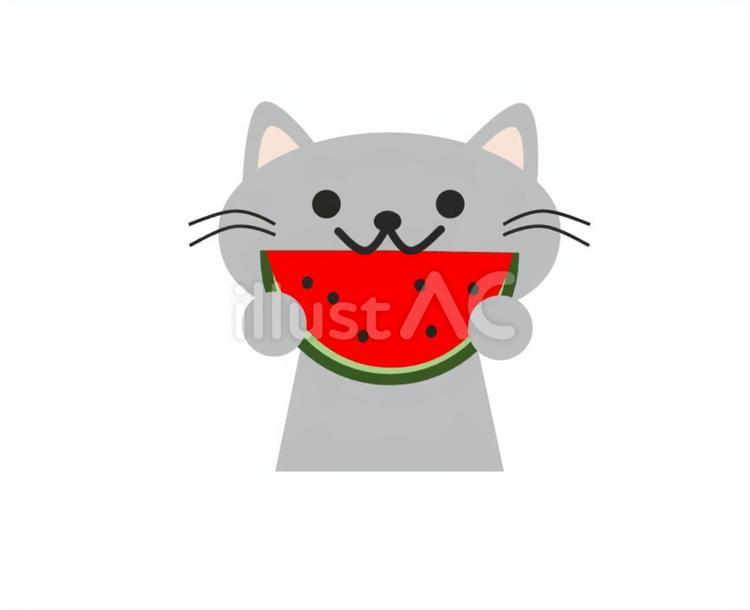 すいかをたべる猫② すいか,食べる,猫のイラスト素材