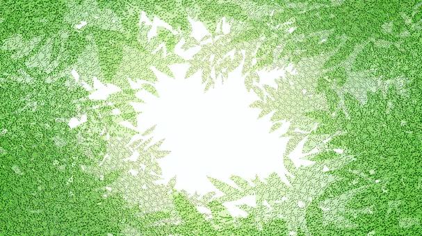 木漏れ日 木漏れ日,背景,自然,マイナスイオン,爽やか,緑,葉っぱ,植物のイラスト素材
