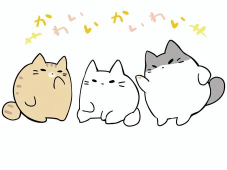 ワイワイ 可愛い界隈 ねこ,白猫,ハチワレ,トラ猫,おしゃべり,仲良し,肉球,主線あり,界隈,ワイワイのイラスト素材