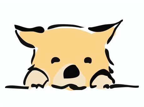 笑顔でのぞき込む柴犬 柴犬,笑顔,犬,笑う,かわいい,ご機嫌,わんこ,ペット,動物,シンプルのイラスト素材