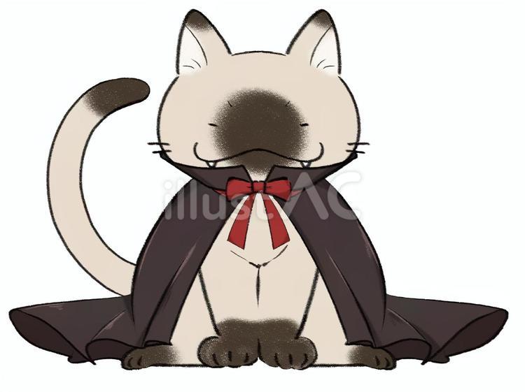 吸血鬼ねこC 猫,手書き風,かわいいのイラスト素材
