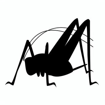 カマドウマ_1cシルエット カマドウマ,昆虫,虫,シルエット,モノクロ,むしのイラスト素材
