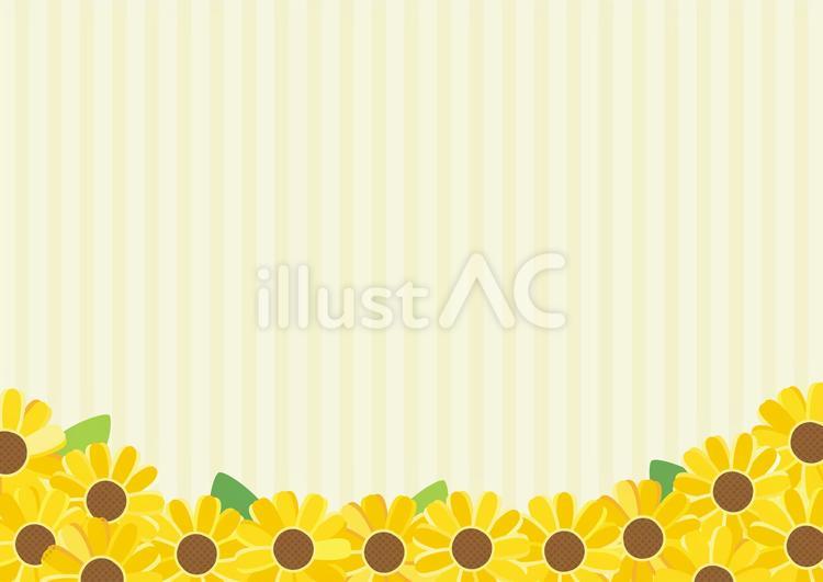 ひまわりとストライプ柄の夏の背景素材17 ひまわり,夏,背景のイラスト素材
