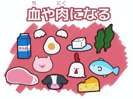 三色食品群　赤02 三色食品群,食品,食育,栄養素,牛乳,卵,豆腐,ワカメ,肉,魚のイラスト素材