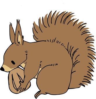 Full body illustration of a squirrel with walnuts, squirrel, animal, tree fruit, JPG, PNG and AI